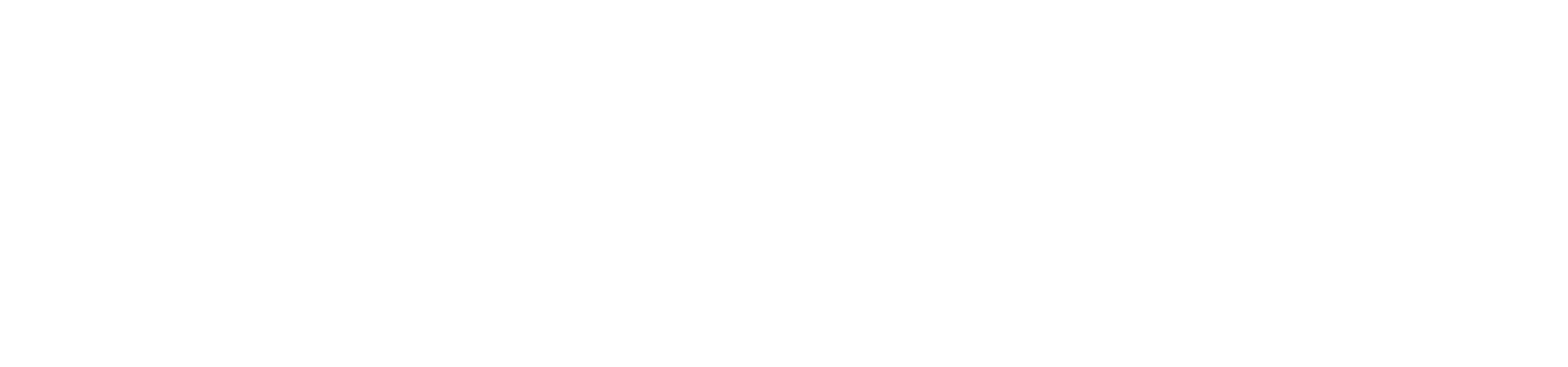 logo Portrait